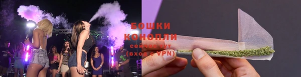 гашик Белоозёрский