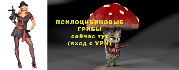 ALPHA PVP Беломорск